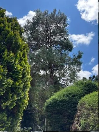 公寓 Charme E Conforto Na Montanha - Condominio No Morro Do Elefante, Proximo Ao Centro Campos do Jordão